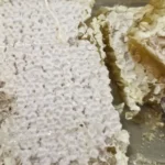 عسل طبیعی کوهستان با موم