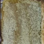 عسل طبیعی کوهستان با موم