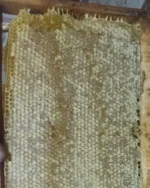 عسل طبیعی کوهستان با موم